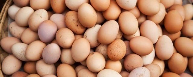 Помощь перед Пасхой: Роскачество дало советы по выбору куриных яиц