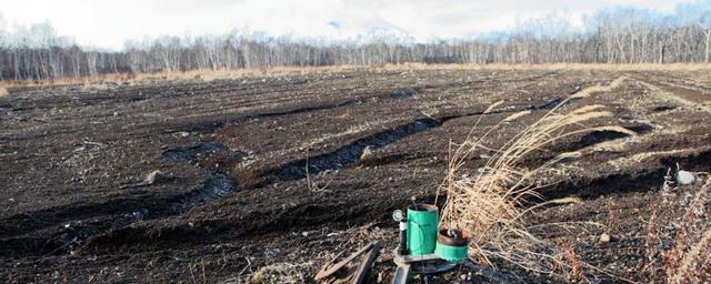 На Камчатке обследуют полигоны на предмет утечки ядовитых отходов
