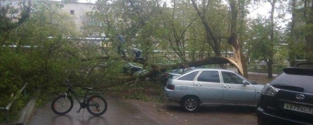 В Иванове устраняют последствия урагана