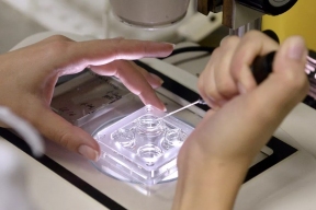 Восемь пар близнецов «из пробирки» родились в Волгограде