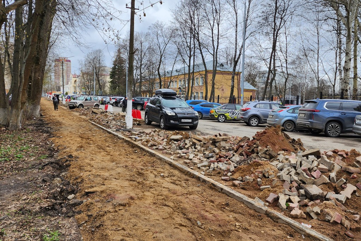 В Пушкине в районе Писаревского проезда восстановят деревья