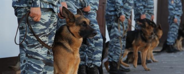 В Москве из-за угрозы взрыва эвакуировали Киевский вокзал