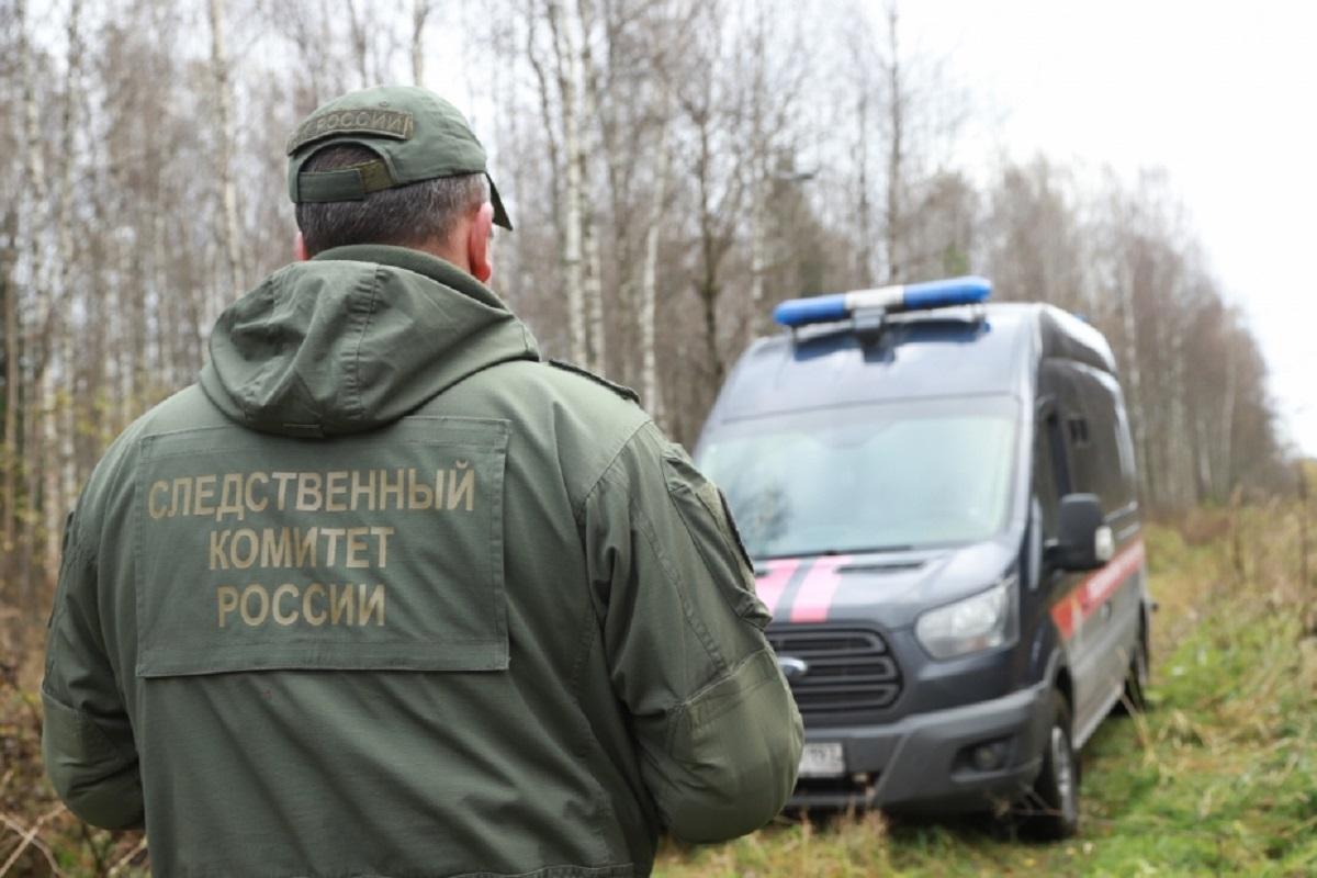 Подростки подкараулили в лесу и толпой избили сверстника в Ижевске