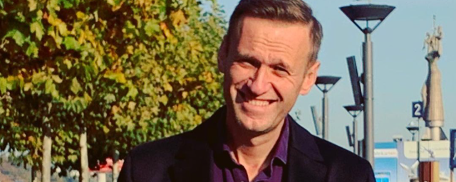 Немецкий чиновник подтвердил данные в журналистских расследованиях дела Навального