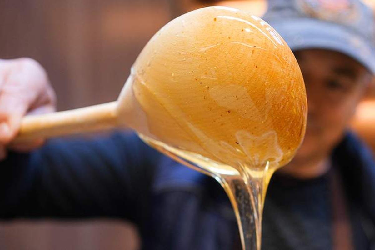 Роскачество выяснило, сколько россиян употребляет мед и какой именно