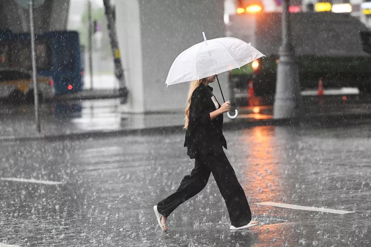 Климатолог выявил особенность лета этого года