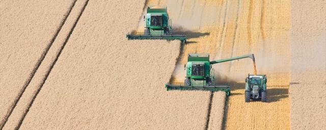 Путин: Урожай зерна в этом году станет рекордным