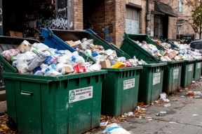 Министр ЖКХ Пшеничная отреагировала на мусорный коллапс на Дону