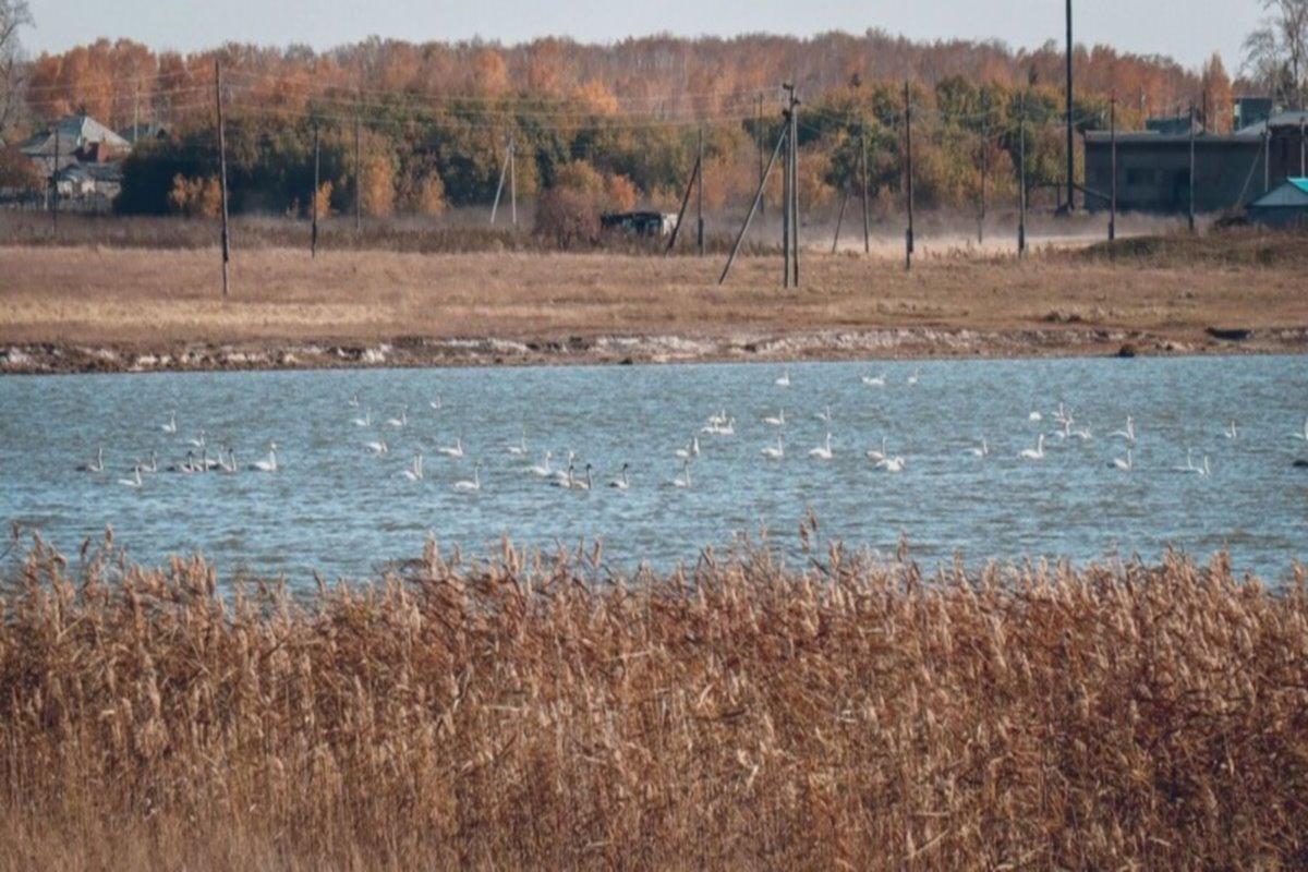 В Адамовском районе Оренбуржья утонул 63-летний мужчина
