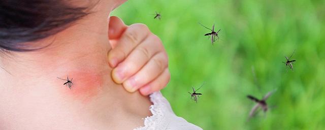 Ученые выяснили, почему некоторые люди более предпочтительны для комаров