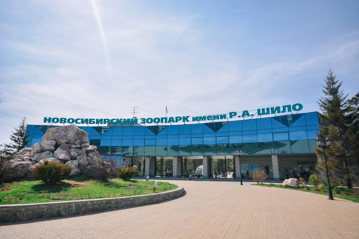 В Новосибирском зоопарке напомнили о бесплатном посещении для пенсионеров