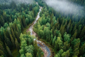Тайны заповедников: знают ли россияне о природных богатствах страны?