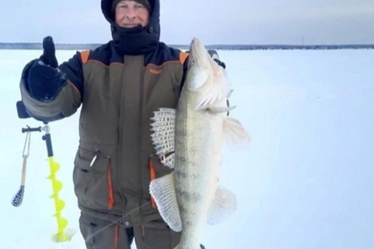 Жителю Новосибирска удалось поймать 20-летнего окуня