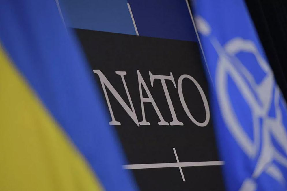 Американские ученые обратились к НАТО с отчаянным требованием по Украине