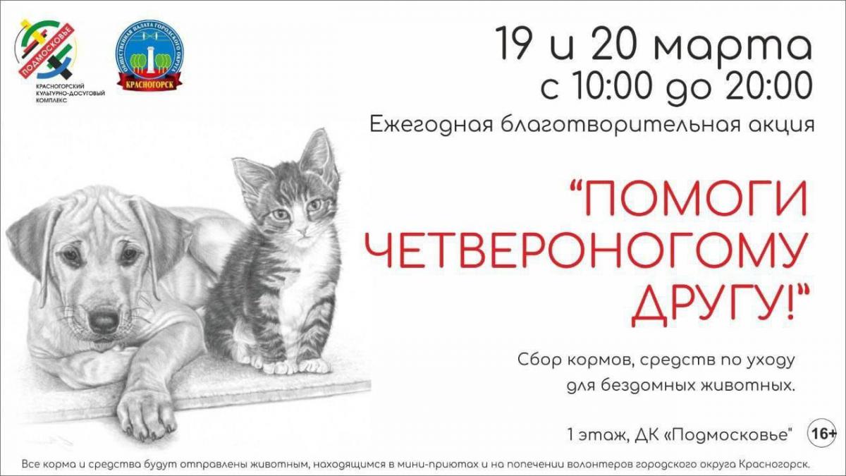 В г.о. Красногорск проходит акция «Помоги четвероногому другу»