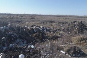 Гигантская свалка обнаружена под Омском