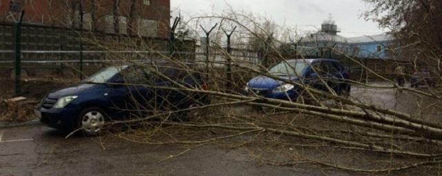 В Иркутске аварийные службы привлечены к устранению последствий урагана