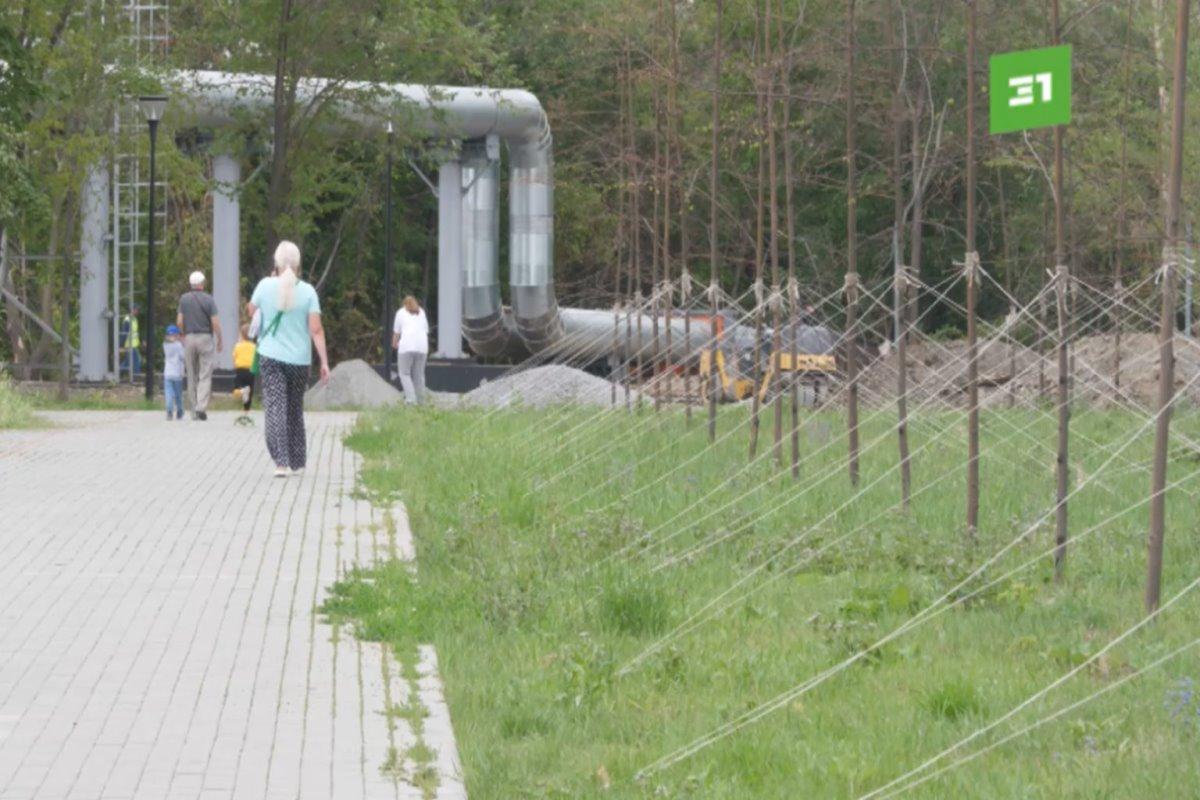 Челябинская компания «Тарико» попала в реестр недобросовестных поставщиков за срыв контракта