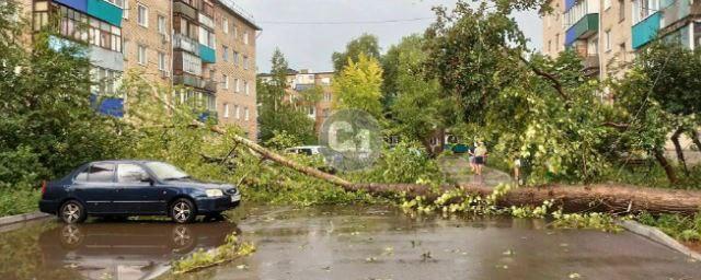 В Самарской области ураган с корнем вырвал деревья