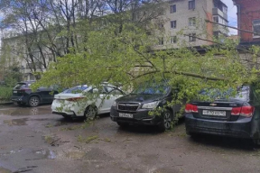 Эксперты объяснили, кто должен будет оплатить ремонт машины, если ее побило градом или ударило деревом