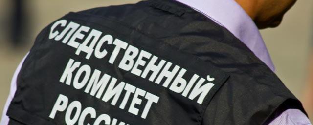 СК РФ расследует гибель российской журналистки Сулеймановой под Донецком
