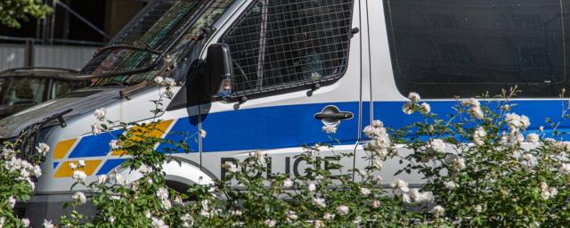 Гражданин Украины в трусах избил двух полицейских в Вене после ссоры с соседями