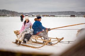 Руслан Заголовацкий: Покормить северных оленей и прокатиться на упряжке можно на ферме в Анциферово