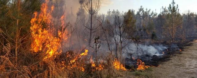 В Тюменской области зафиксирован высокий класс пожарной опасности