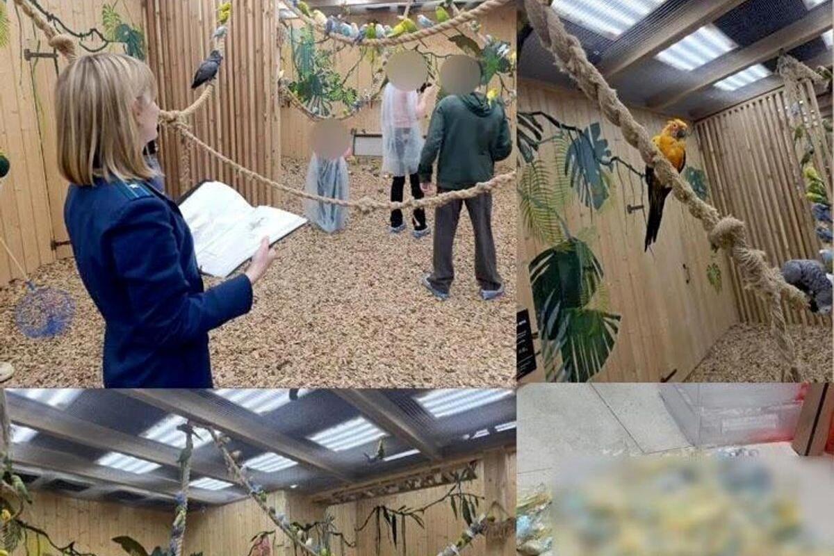 В столичном антикафе «Попугайня» нашли сотню мертвых птиц в морозилке