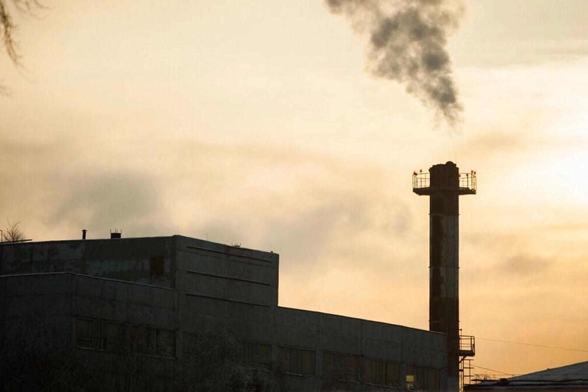 Новый завод «Русского Лесного Альянса» в Карелии будет перерабатывать до 200 тыс. куб. м древесины