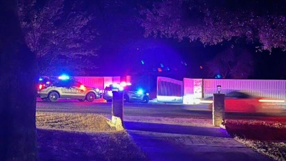 В Британии сотни подростков ворвались в роскошный дом стоимостью $6,5 млн на вечеринку в особняке