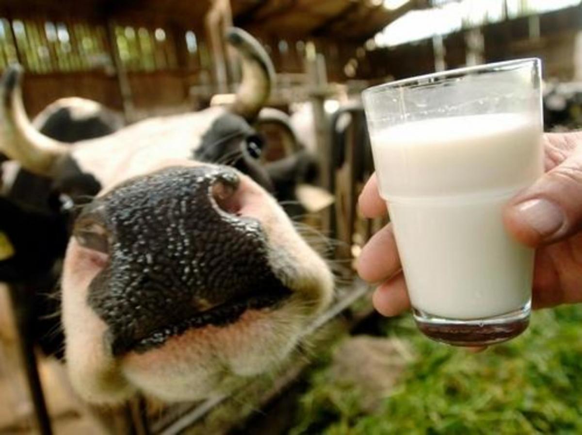WeChat: ежедневное употребление молока повышает риск развития рака на 7%