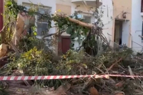 В Сириусе эвкалипт обрушился на жилой дом, повредив балкон и заблокировав подъезд