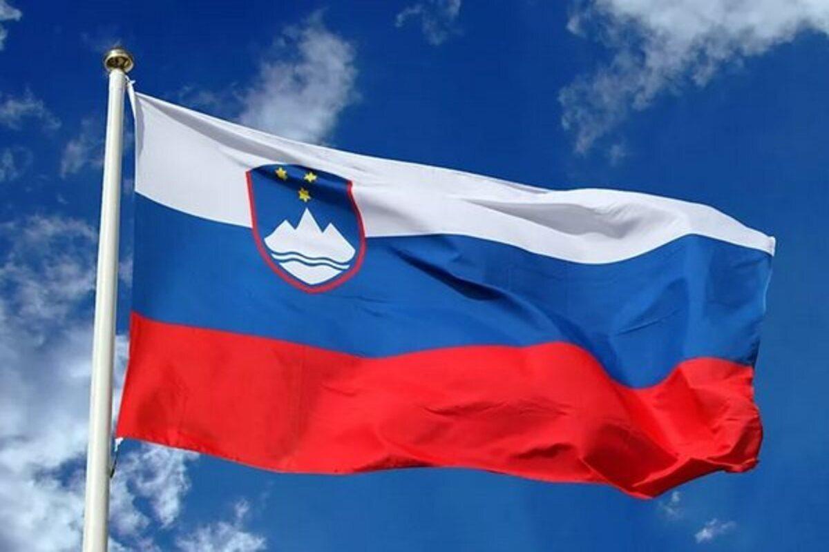 Власти Словении совместно с Чехией готовятся закупить боеприпасы для ВСУ