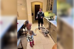 Арнольд Шварценнегер сфотографировался с внучками и восхитил поклонников