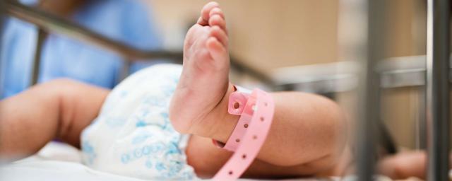 ЛДПР предложила ввести сертификат для новорожденных