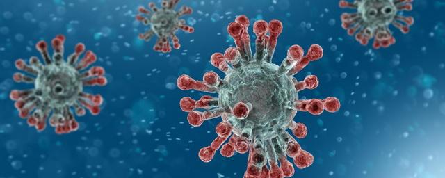 В Удмуртии за сутки подтверждены 113 новых случаев коронавируса