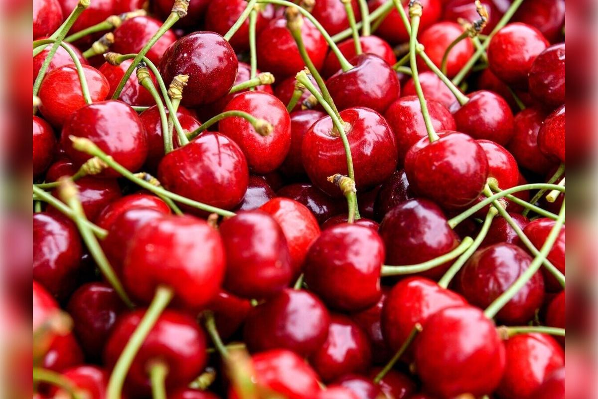 Ягоды могут значительно подорожать летом из-за холодной весны