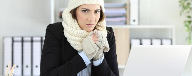 Чиновники в Германии «образцово мёрзнут» в офисах для примера гражданам