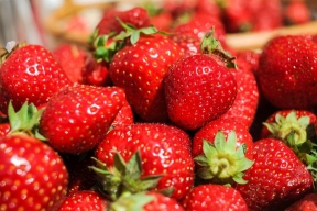 This year in Moscow from 150 to 250 increased the number of points of sale of berries