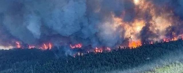 Премьер Канады Трюдо призвал население страны помочь пострадавшим от лесных пожаров