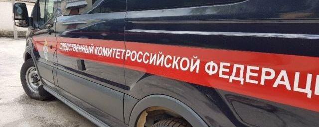 В Ярославской области школьник провалился под лед и утонул