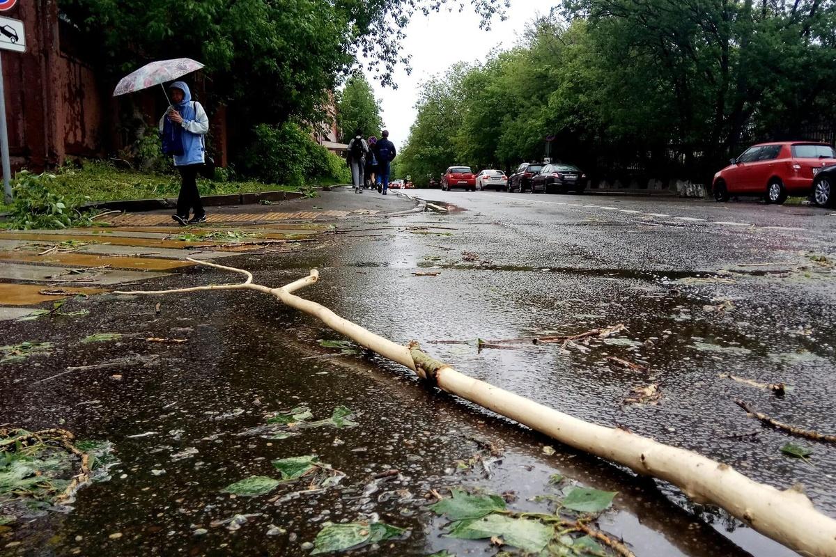 Глава Новгородской области рассказал, сколько специалистов привлекли к ликвидации последствий урагана