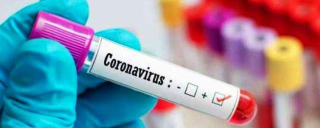 Во Владимирской области еще 118 человек заразились COVID-19