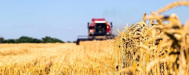 Правительство выделило на развитие сельского хозяйства 41 млрд рублей
