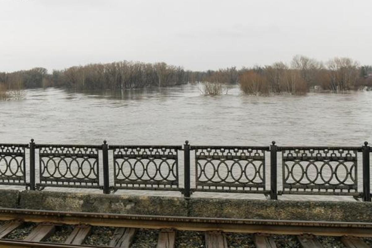 88 детей вывезли из лагеря в Амурской области из-за подтопления