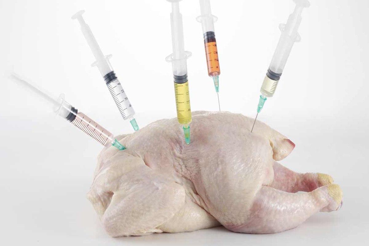 «Антибиотики и микробы»: Росконтроль назвал производителей опасных куриц. Их нельзя покупать