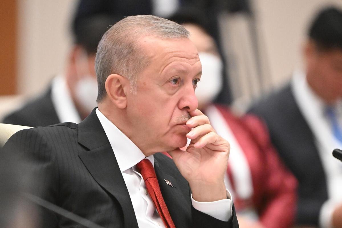 Турция нашла крупное месторождение природного газа в акватории Чёрного моря