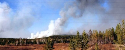 В ЕАО ликвидировали лесной пожар в заповеднике «Бастак»