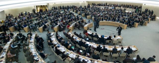 СПЧ ООН поддержал предложенную Великобританией резолюцию по Сирии